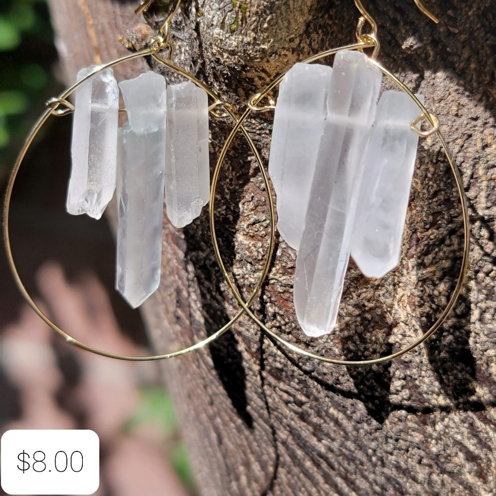 Earrings